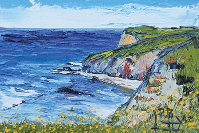 Big Sur California by Lisa Elley art print