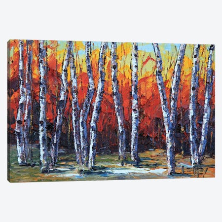 Autumn Forest Canvas Print #LEL426} by Lisa Elley Canvas Art Print