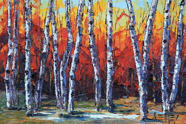 Birch Trees: Autumn Forest by Lisa Elley
