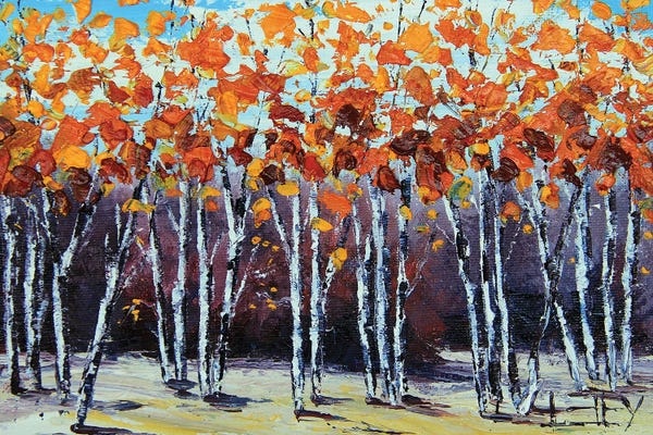 Birch Trees: Autumn Colors by Lisa Elley