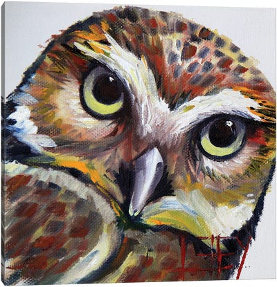 Burrowing Owl Canvas Art Print - Lisa Elley
