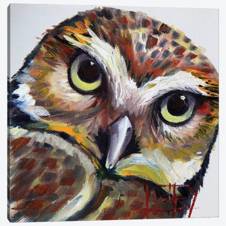 Burrowing Owl Canvas Print #LEL432} by Lisa Elley Canvas Print