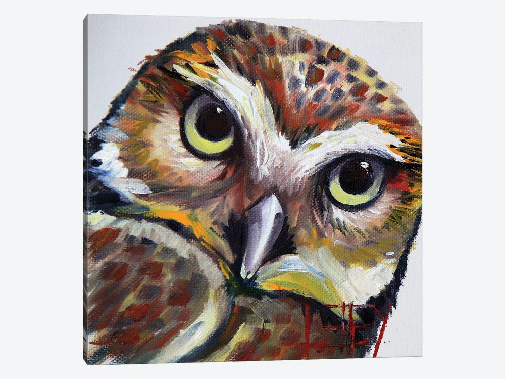 Burrowing Owl by Lisa Elley 1-piece Canvas Print