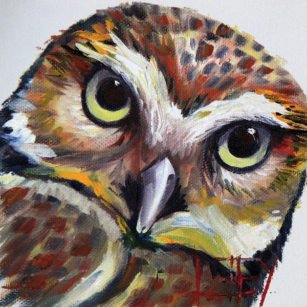 Lisa Elley: Burrowing Owl by Lisa Elley