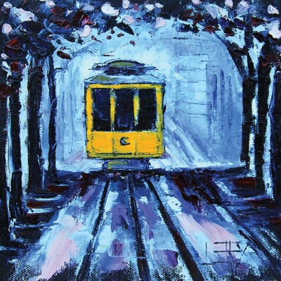 San Francisco Cherry Blossoms In The Spring by Lisa Elley framed wall art