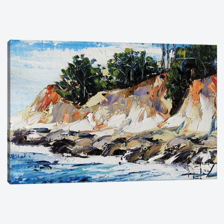 Half Moon Bay, Cliffs Canvas Print #LEL436} by Lisa Elley Canvas Wall Art