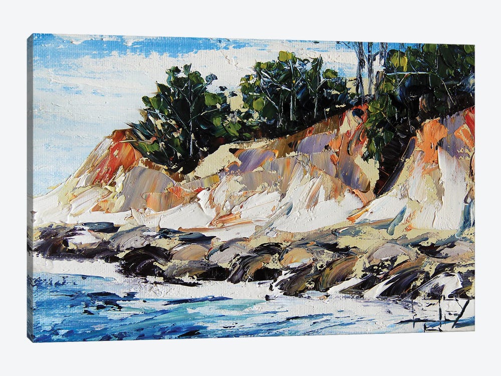 Half Moon Bay, Cliffs by Lisa Elley 1-piece Canvas Art Print