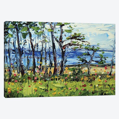 Half Moon Bay Monterey Cypress Trees Canvas Print #LEL437} by Lisa Elley Canvas Art