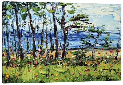 Half Moon Bay Monterey Cypress Trees Canvas Art Print - Monterey