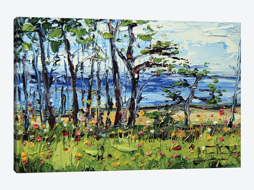 Half Moon Bay Monterey Cypress Trees by Lisa Elley 1-piece Canvas Wall Art