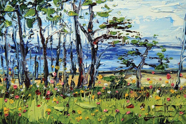 Lisa Elley: Half Moon Bay Monterey Cypress Trees by Lisa Elley