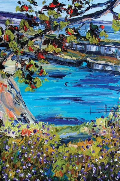 China Cove by Lisa Elley canvas print