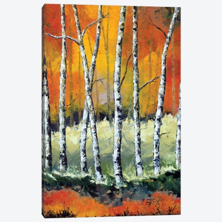 Eight Birches Canvas Print #LEL440} by Lisa Elley Canvas Artwork