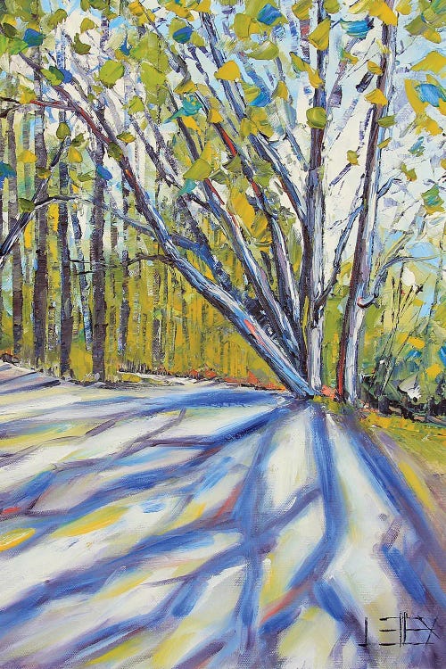 Bay Area Black Oaks With Dappled Sunlight by Lisa Elley wall art
