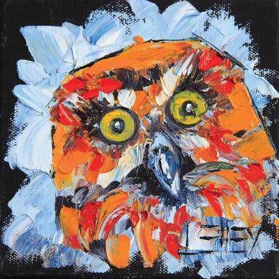 New Zealand Native Morepork Bird by Lisa Elley framed wall art