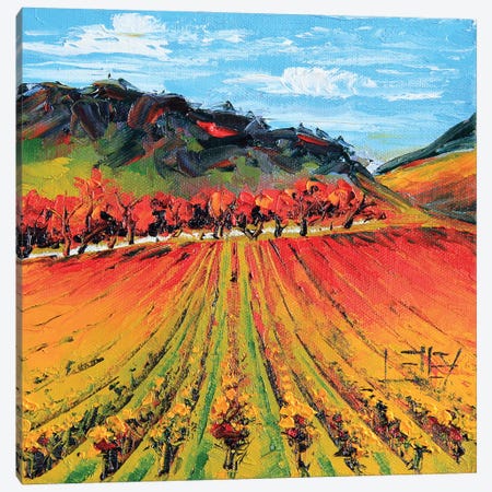 Napa Valley Autumn Vines Canvas Print #LEL455} by Lisa Elley Canvas Art