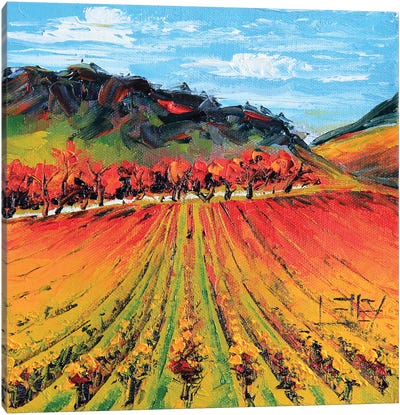 Napa Valley Autumn Vines Canvas Art Print - Vineyard Art