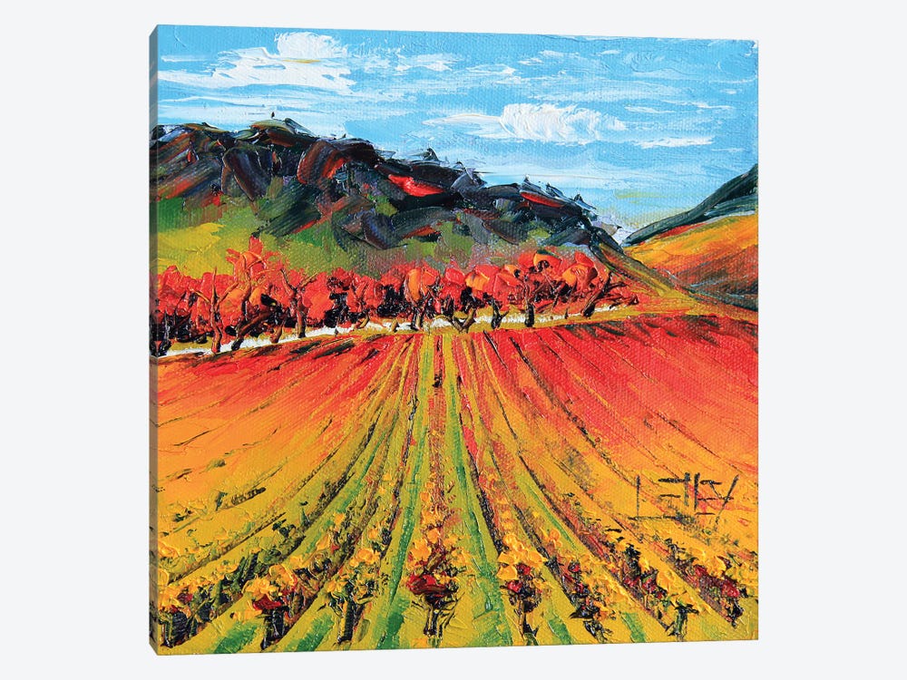 Napa Valley Autumn Vines by Lisa Elley 1-piece Canvas Art