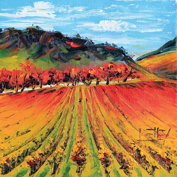 Napa Valley Autumn Vines