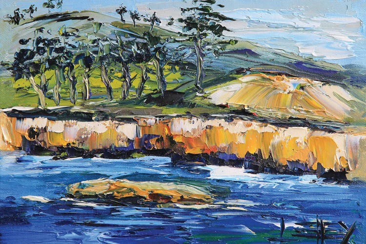 Point Lobos And China Cove In Carmel California by Lisa Elley wall art