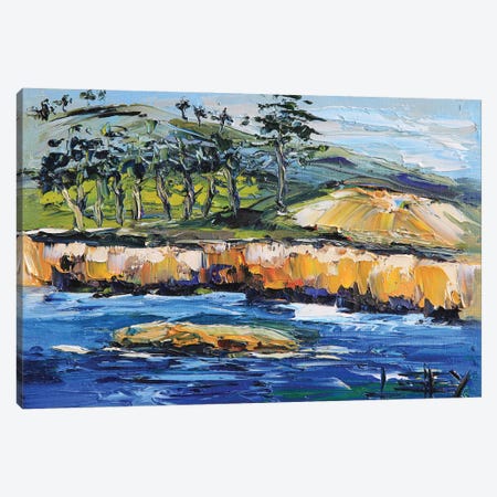 Point Lobos And China Cove In Carmel California Canvas Print #LEL466} by Lisa Elley Canvas Art Print