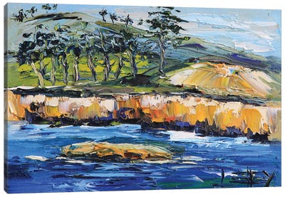 Point Lobos And China Cove In Carmel California Canvas Art Print