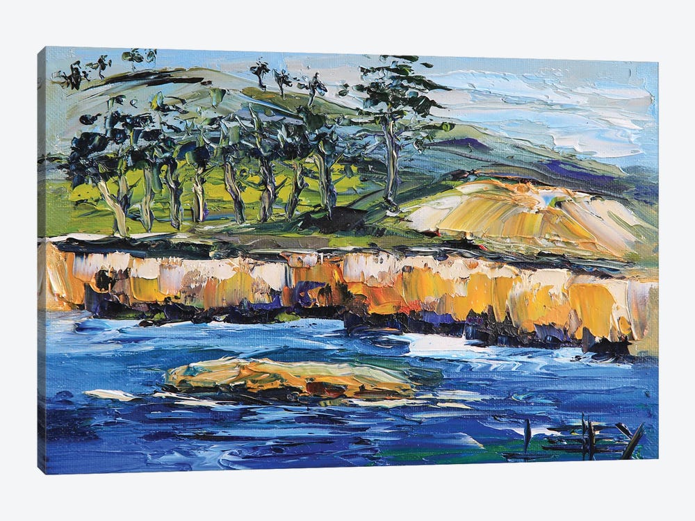 Point Lobos And China Cove In Carmel California by Lisa Elley 1-piece Canvas Artwork