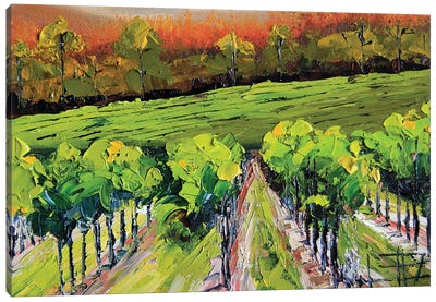 Napa Valley Colorful Autumn Canvas Art Print - Valley Art