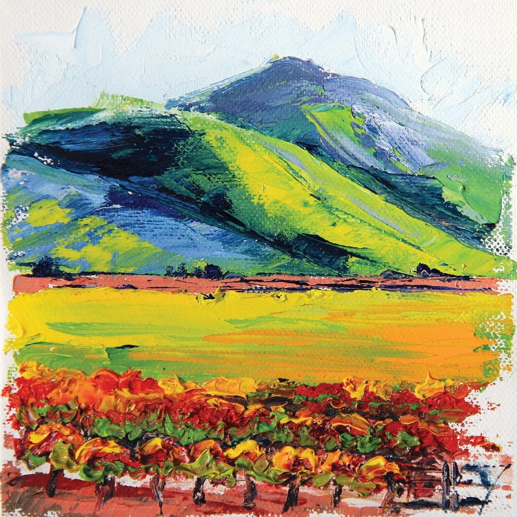 Napa Valley Hills