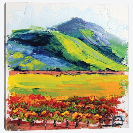 Napa Valley Hills Canvas Print #LEL473} by Lisa Elley Canvas Art Print