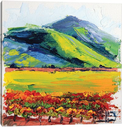 Napa Valley Hills Canvas Art Print - Vineyard Art
