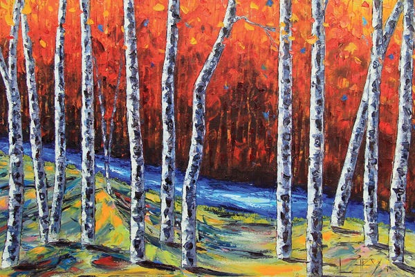 Birch Trees: Never Ending Fall by Lisa Elley
