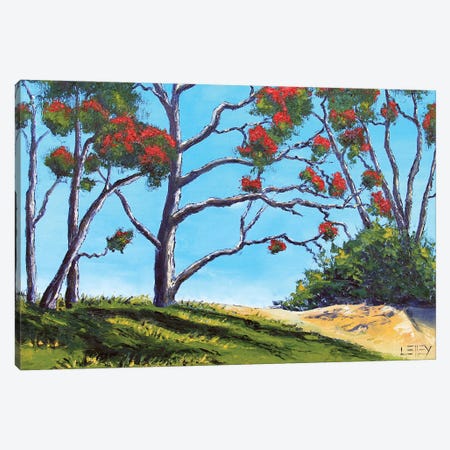 New Zealand Pohutukawa Trees In Coromandel Canvas Print #LEL480} by Lisa Elley Canvas Art