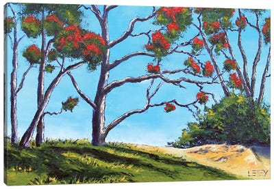 New Zealand Pohutukawa Trees In Coromandel Canvas Art Print - New Zealand Art