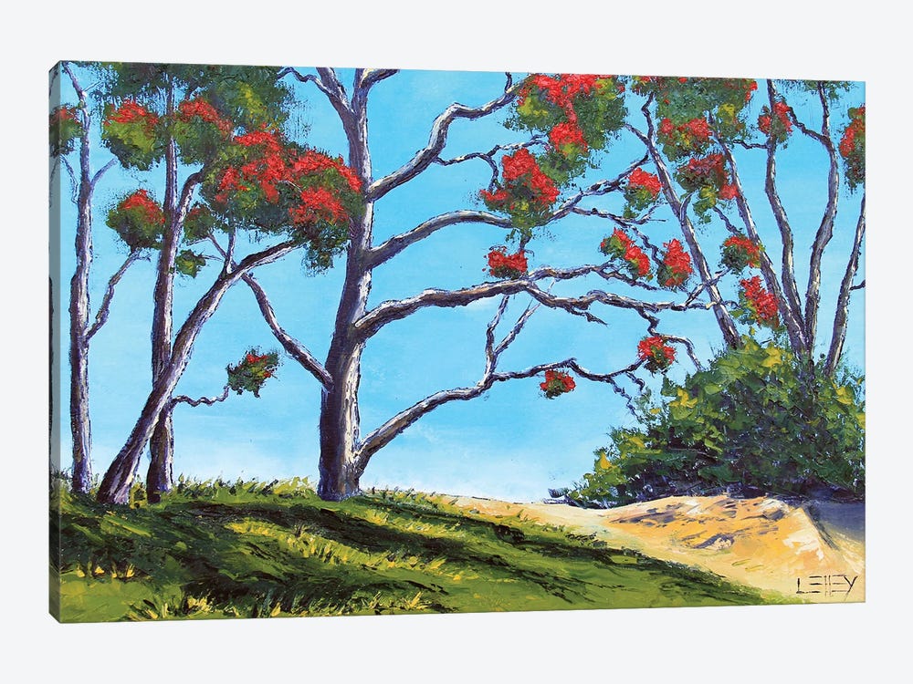 New Zealand Pohutukawa Trees In Coromandel by Lisa Elley 1-piece Canvas Wall Art