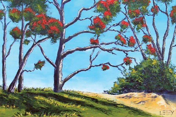 New Zealand: New Zealand Pohutukawa Trees In Coromandel by Lisa Elley