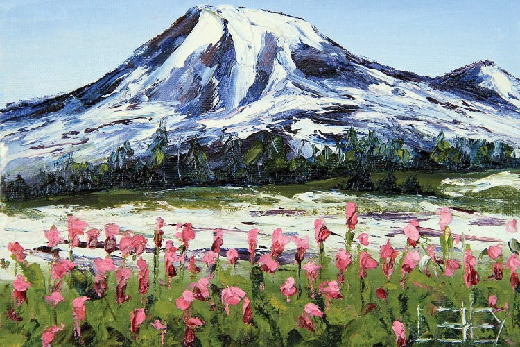 Mount Ranier Washington