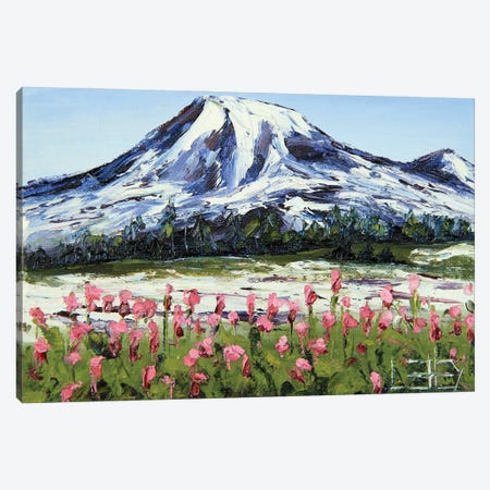 Mount Ranier Washington Canvas Print #LEL481} by Lisa Elley Canvas Art