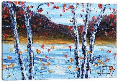 Birch Trees By The Lake Canvas Art Print - Lisa Elley