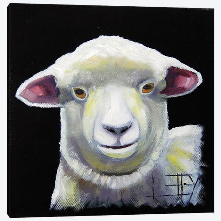 New Zealand Lamb Canvas Print #LEL487} by Lisa Elley Canvas Print