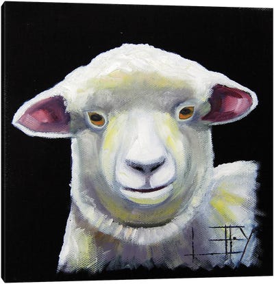New Zealand Lamb Canvas Art Print - New Zealand Art
