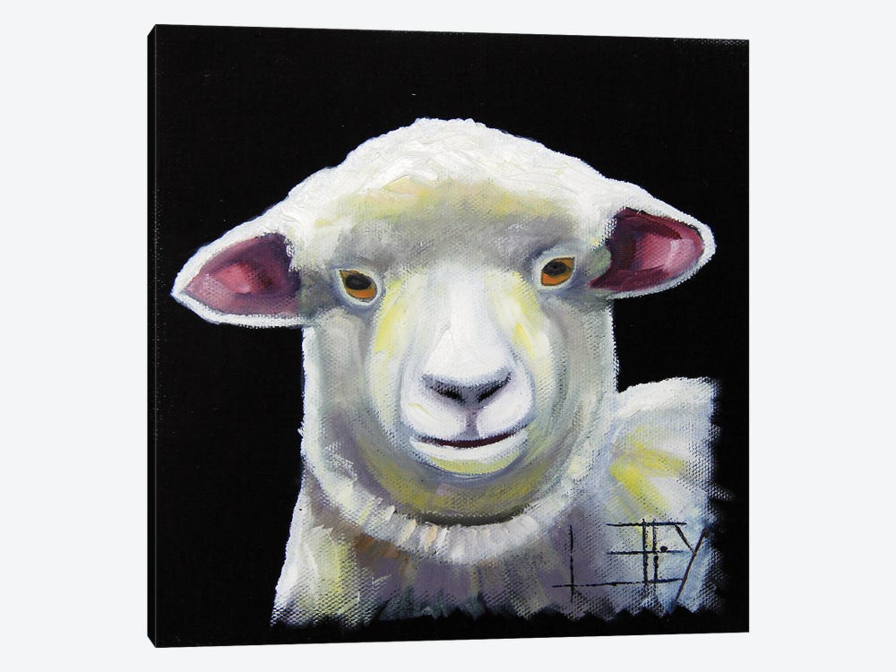 New Zealand Lamb by Lisa Elley 1-piece Canvas Art Print