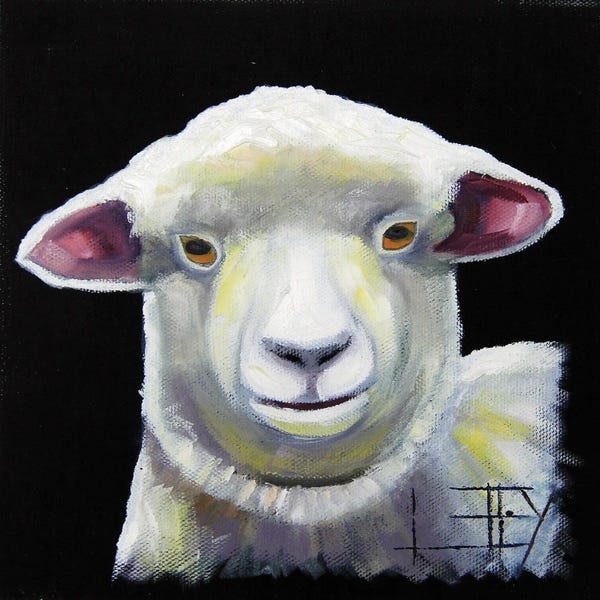 Sheep: New Zealand Lamb by Lisa Elley