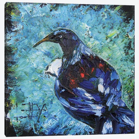 New Zealand Tui Bird Canvas Print #LEL492} by Lisa Elley Canvas Print