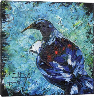 New Zealand Tui Bird Canvas Art Print - New Zealand Art