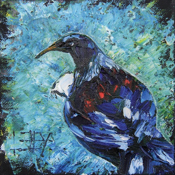New Zealand: New Zealand Tui Bird by Lisa Elley