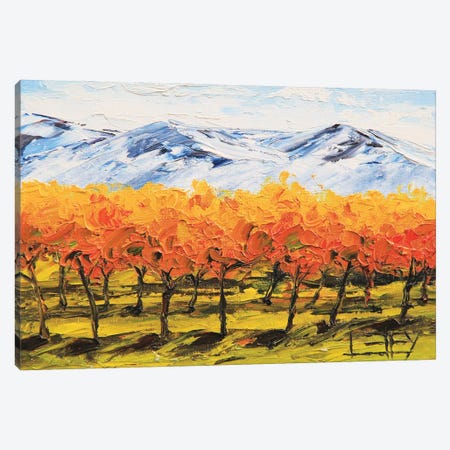 Napa Valley Vineyard Fall Canvas Print #LEL495} by Lisa Elley Canvas Art