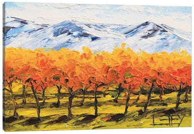 Napa Valley Vineyard Fall Canvas Art Print - Vineyard Art