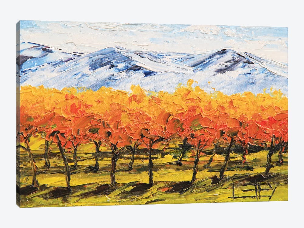 Napa Valley Vineyard Fall by Lisa Elley 1-piece Canvas Wall Art
