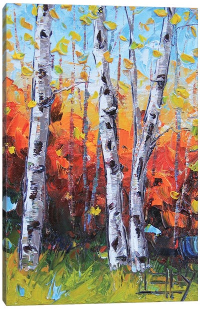 Three Birches Canvas Art Print - Lisa Elley